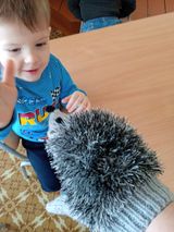 Ежик в гости к нам пришел
