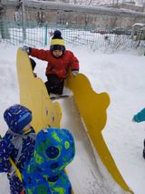 Катание с горки